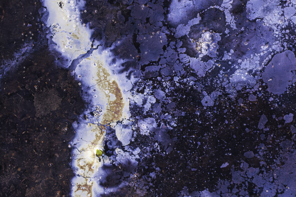 優秀賞「地の銀河」露崎 活人 様(愛知県)