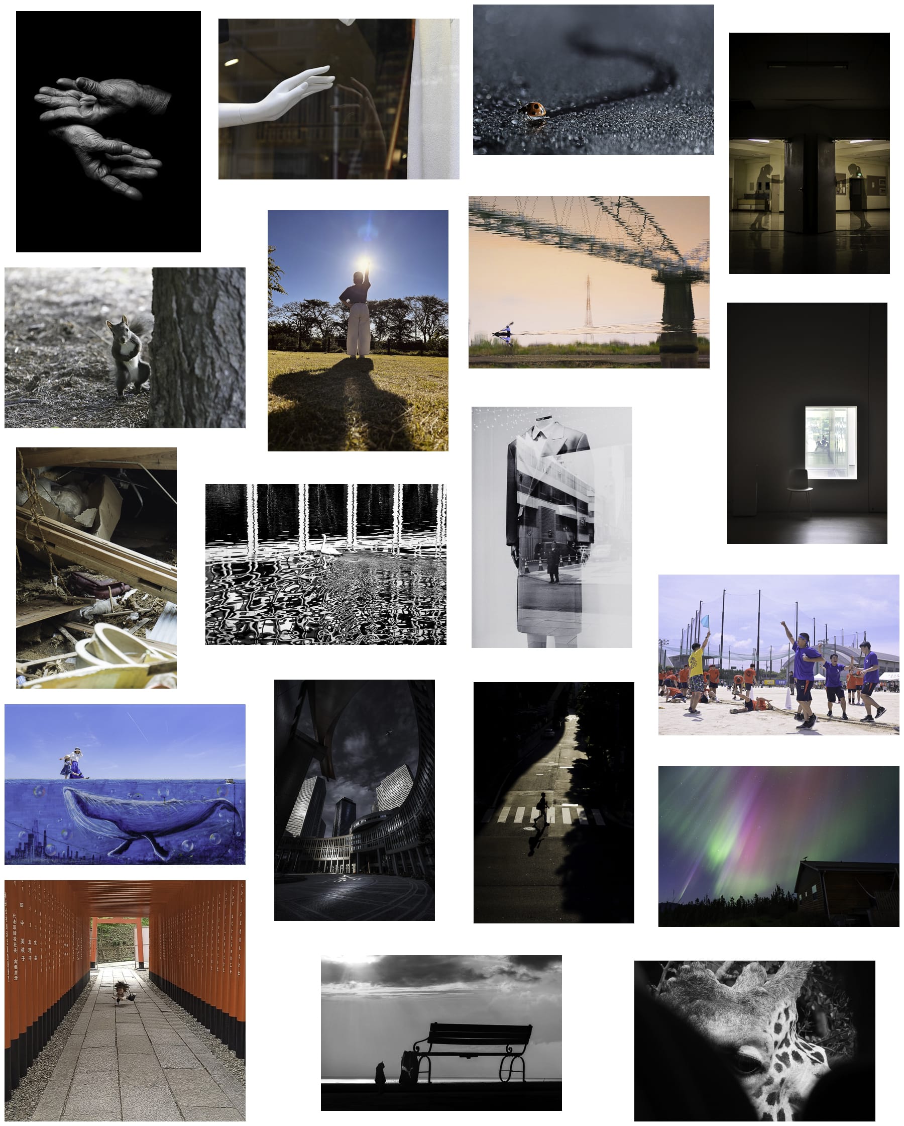 JMPA：一般社団法人日本現代写真家協会写真